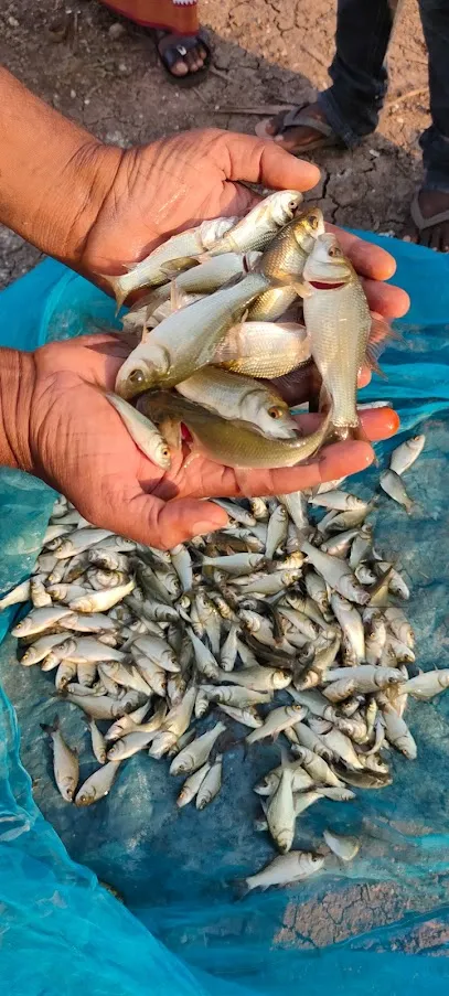 Manikanta Fish Seed Farm