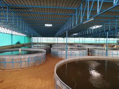 Captain Shukla's Ras Fish Farm