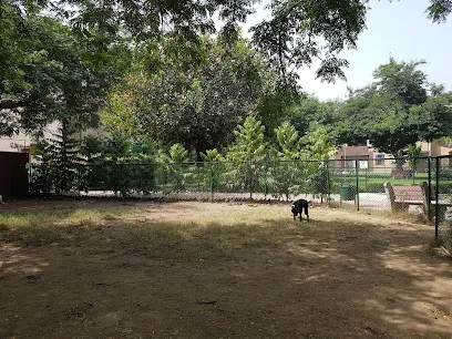 Dog Park - National Media Centre