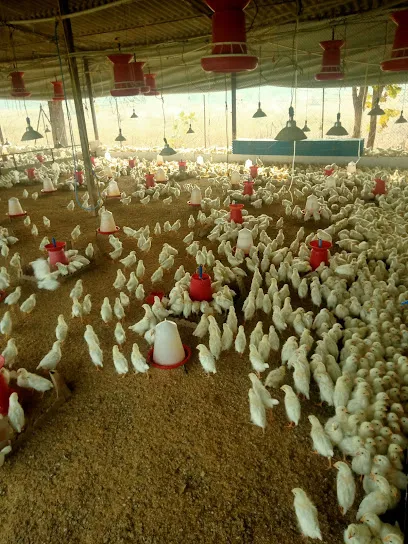 Raj Poultry Farm