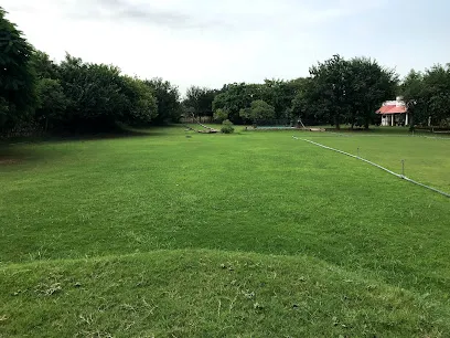 The Ark, Nadir's Dog Park And Cafe