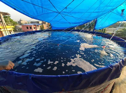 Biofloc Assam Fish Farming (Brahmaputra Co-Operative Society)