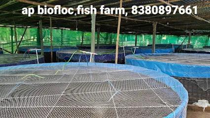 Biofloc Fish Farming