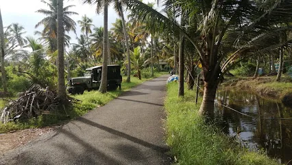 Alleppey Fish Farm