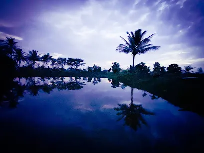 Yashasvi Fish Seed Rearing Farm