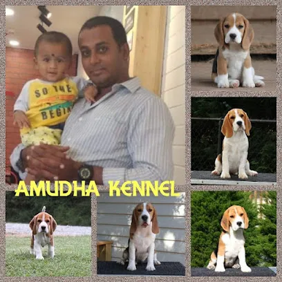 Amudha Kennels [Boarding & Training & Sales & Breeding]