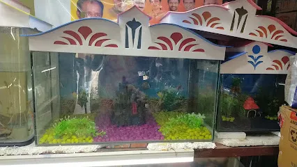 Om Shiva Durga Devisri Aquarium