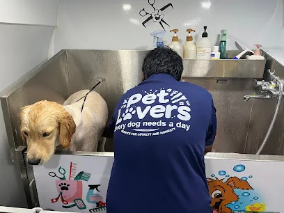 Pet Lovers Service