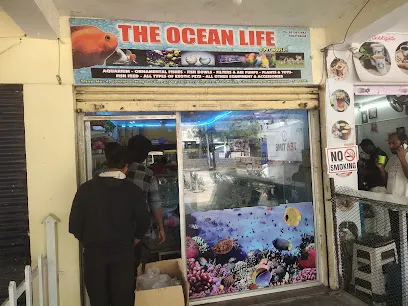 The Ocean Life & Pet World