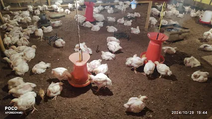 Apon Gonmei Poultry Farm