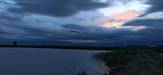 Brojen Fish Farm