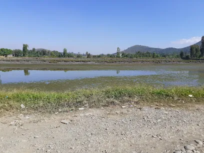 Hiyangthang Fish Farm, Tomba & Sons