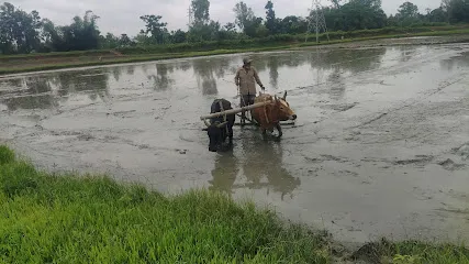 J K Fish Seeds Farm