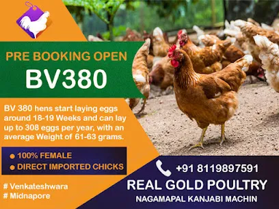 Real Gold Poultry