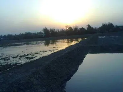 Shafi Fish Farm