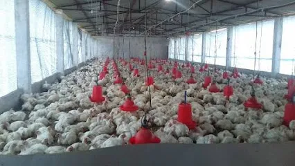 Wangmayum Badarul Poultry Farm