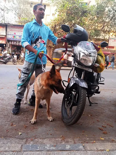 Dog Walker