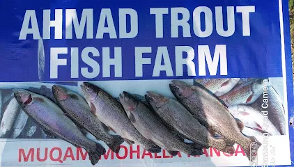 Ahmad Trout Fish Farm