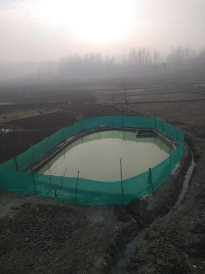 Akeel Hussain's Fish Farm