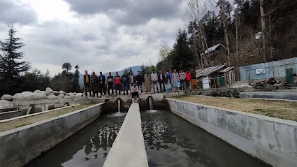 Bangus Valley Trout Fish Farm