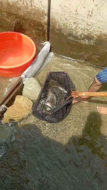 Doodhganga Fish Farms