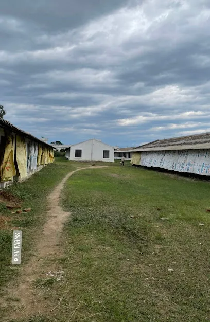 Kashmir Valley Hatcheries