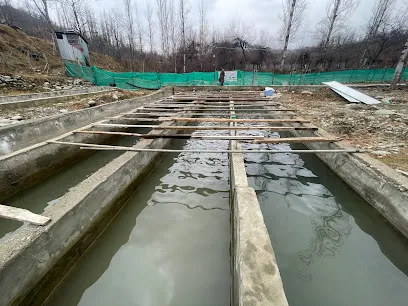 Khanday Trout Fish Farms Watred