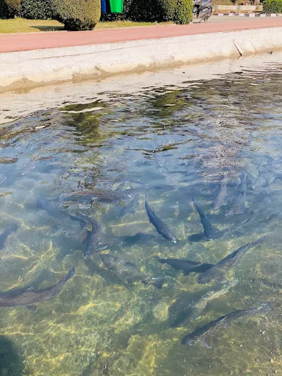 Laribal Fish Farm