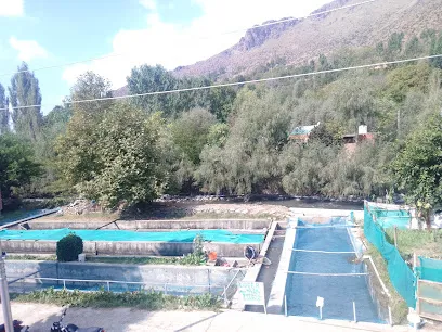 Lidder Water Trout Fish Farm