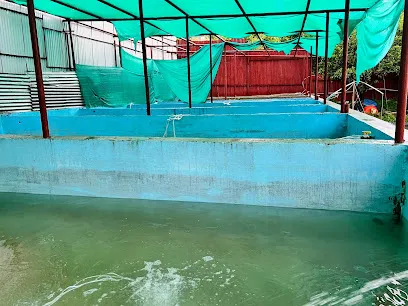 Mir Fish Farm