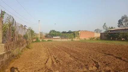 Salaria Poultry Farm