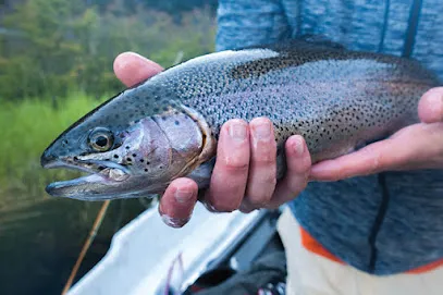 Trout Fish Farm