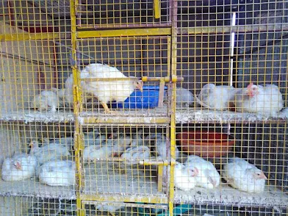 Zahoor Poultry Shop