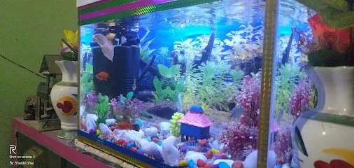 Samundri Aquarium Shop And Pet Shop