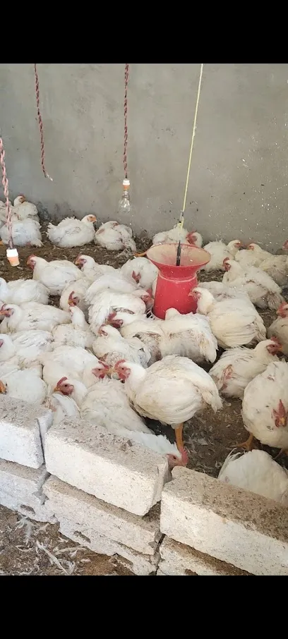 Wishwa K Poultry Farm