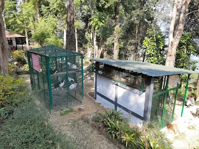 Kalimpong Animal Shelter