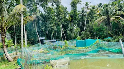 Kandathil Fish Farm & Hatchery