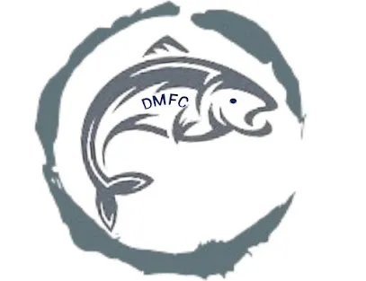 Dm Fish Company