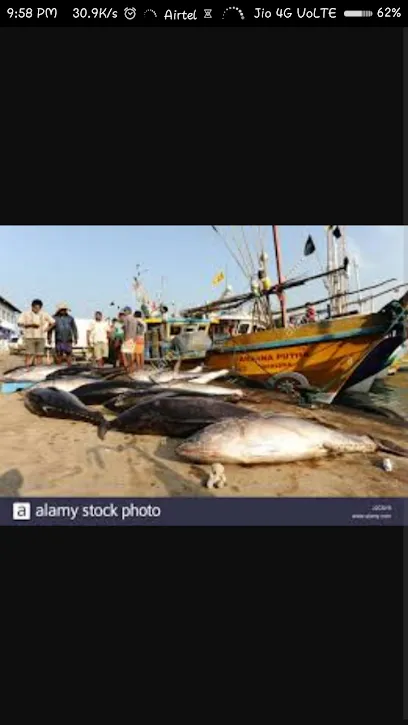 Banti Sahu Fish Seller