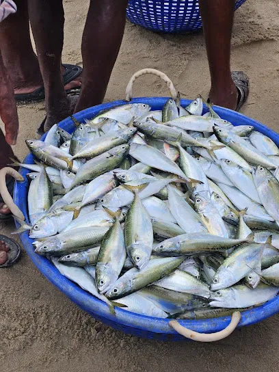 Fishermen Fresh Fish