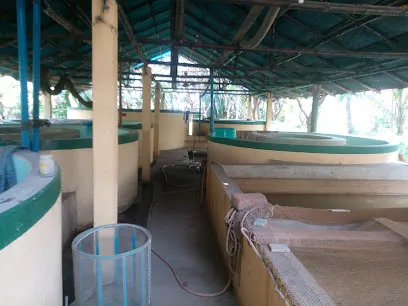 Adhikary Fish Farm & Hatchery