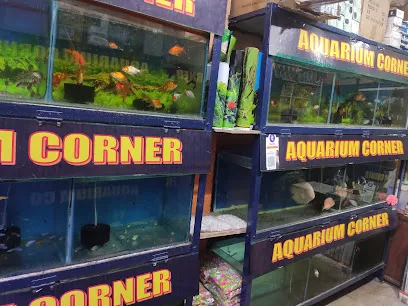 Aquarium Corner