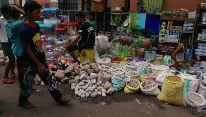 Color Fish Market