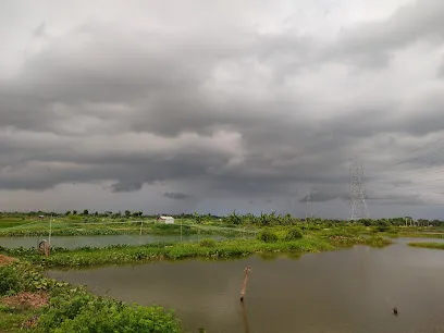 Mondal Fishery