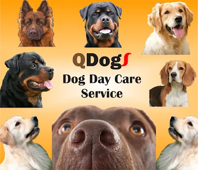 Qdogs (Dog Creche Service)