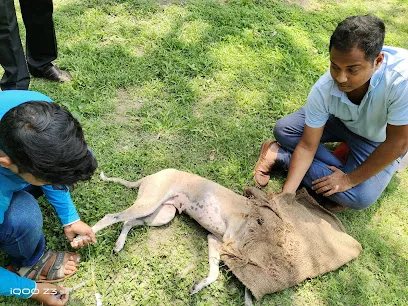 Shyamnagar Paws Treat On Street