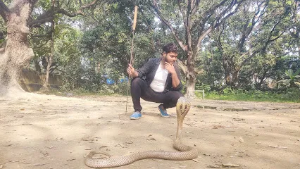 Snake Saver Akash