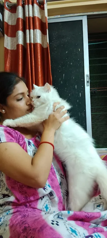 Sonu's Kitty's Home Care