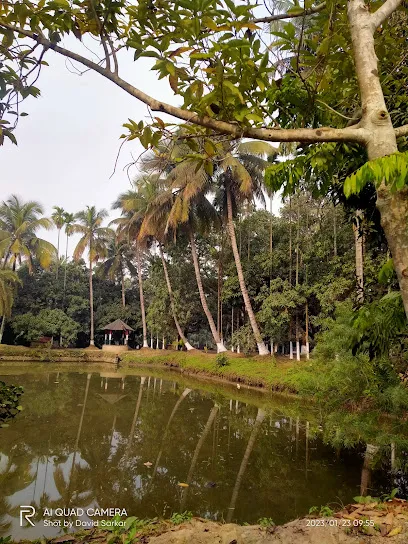 Suchandra Fish Farm