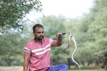 Snake Rescuer Kota Rakesh Sen Reptile Rescuer